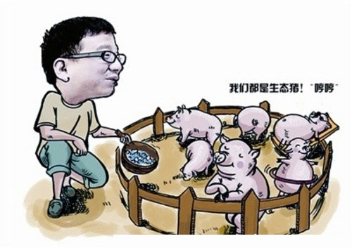 丁磊养猪 丁磊养猪(钛媒体)