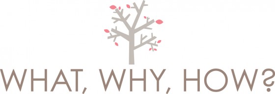 what-why-how what why how