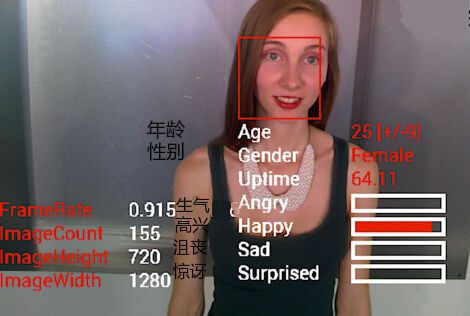 面部识别