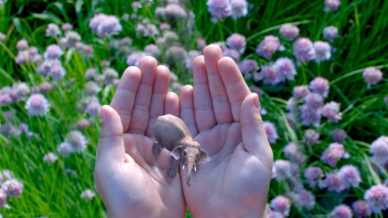 虚拟现实 虚拟现实
