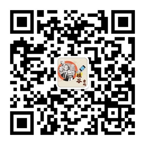 硅谷密码300