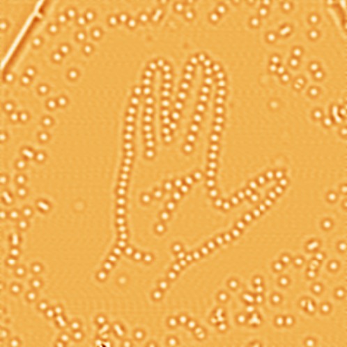 Atom Live Long and Prosper