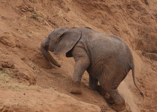 Uphill Battle