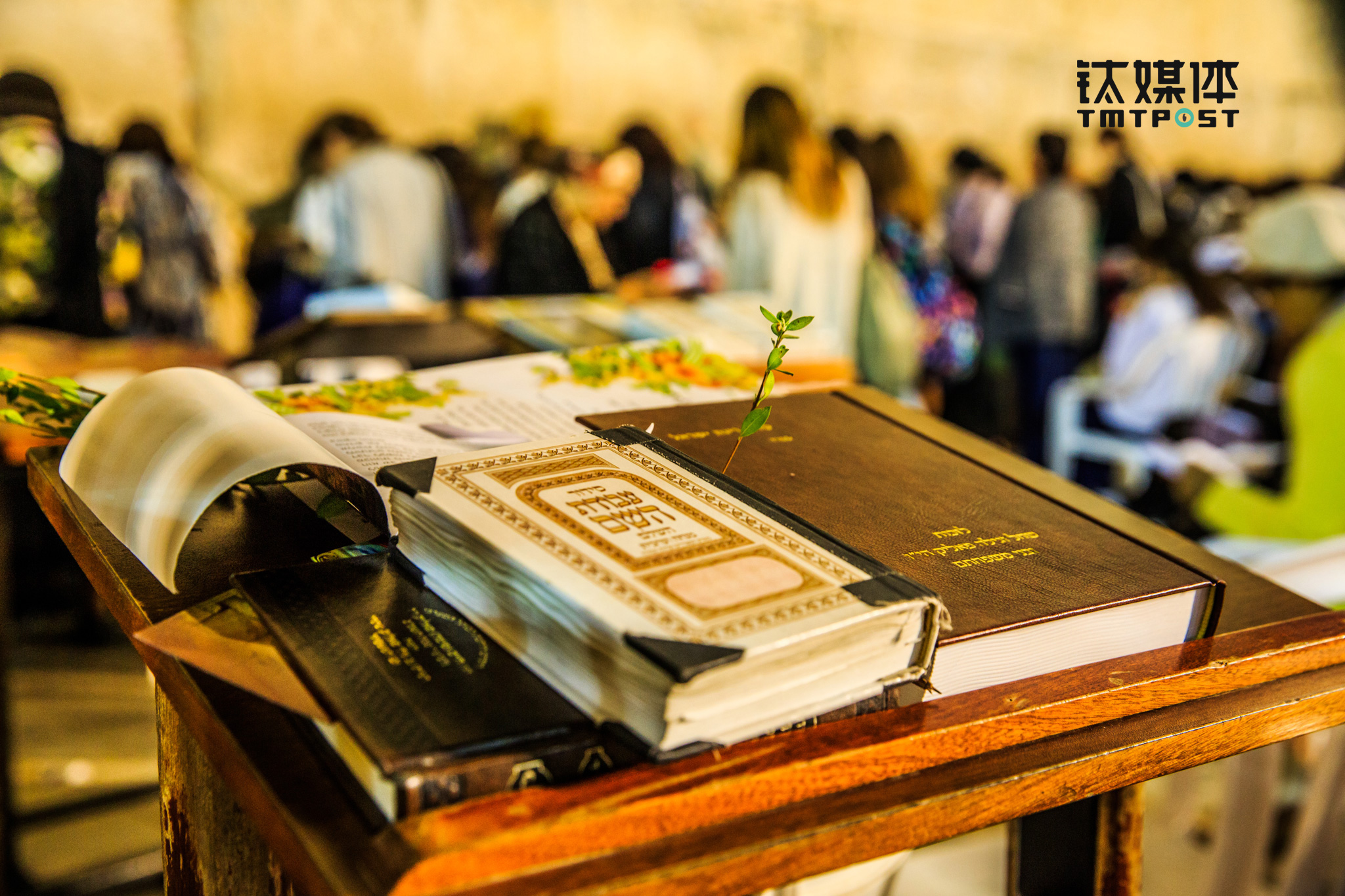 犹太人凭啥斩获全球24%的诺贝尔奖,这趟创新