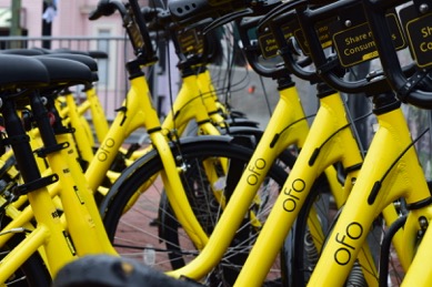 ofo 单车