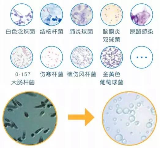 泡一泡能把衣服洗干净，想不偷懒都不行