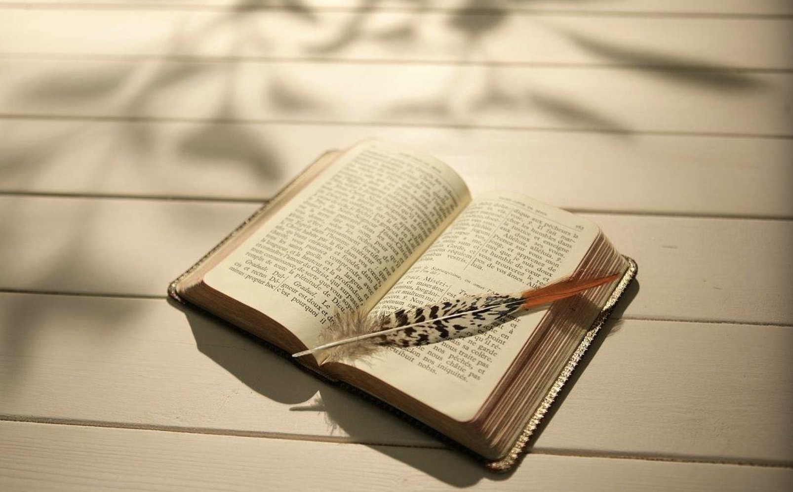 专访《全职高手》作者蝴蝶蓝：我对现在收入很满意