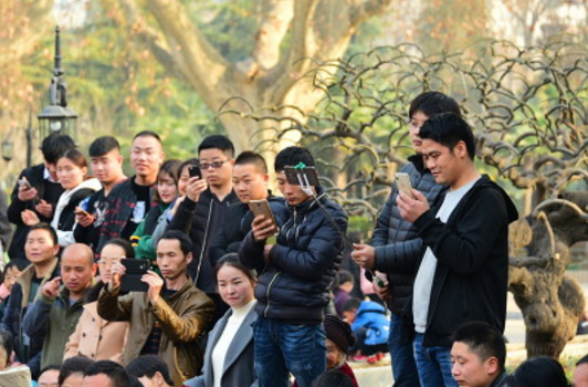 巨頭砸錢、紅人匯聚的短視頻，應把握住這6大掘金趨勢