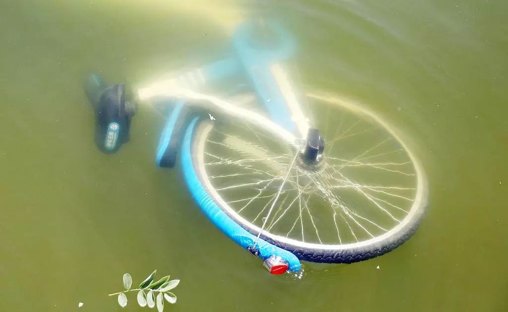 无力前行的小蓝