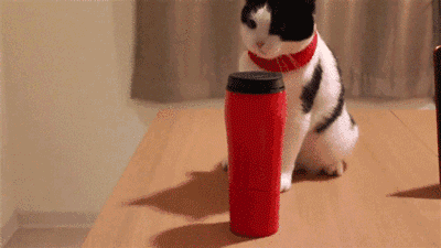 im/rdehkh 除了上面这款狗年特别版, 我们还有不倒水杯的日常流行款