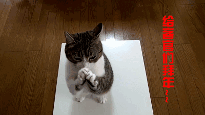 你不能错过的大英图书馆小黑猫丨钛空舱靓款春节特献