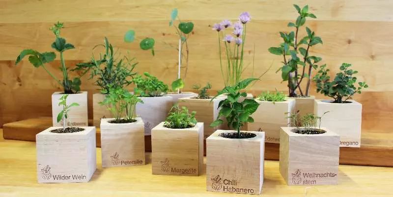 生活要想过得去, 命里必须有点绿 | 生活方式