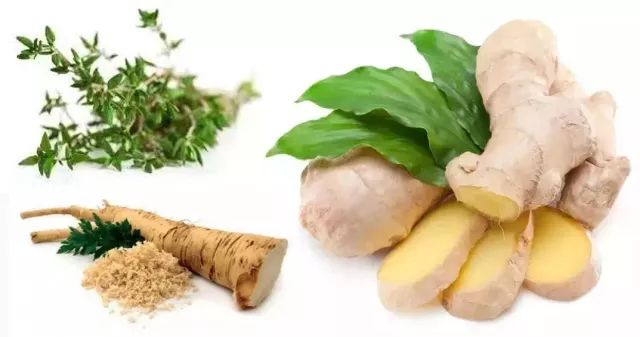 空气污染防不胜防,肺毒清除妙招特此呈上 | 生活