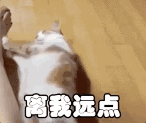 水盆很容易就会遭到爱宠们的嫌弃啦.