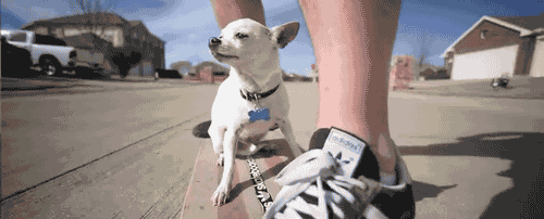 1399_565gif 动态图 动图