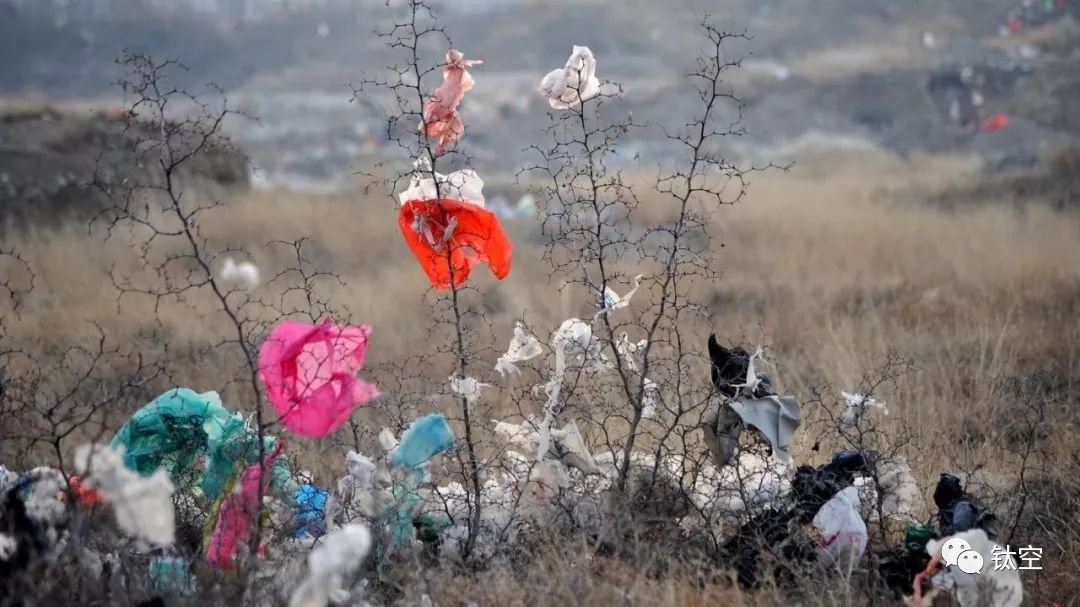 一年花在塑料袋上的钱,可买两只香奈儿口红!换