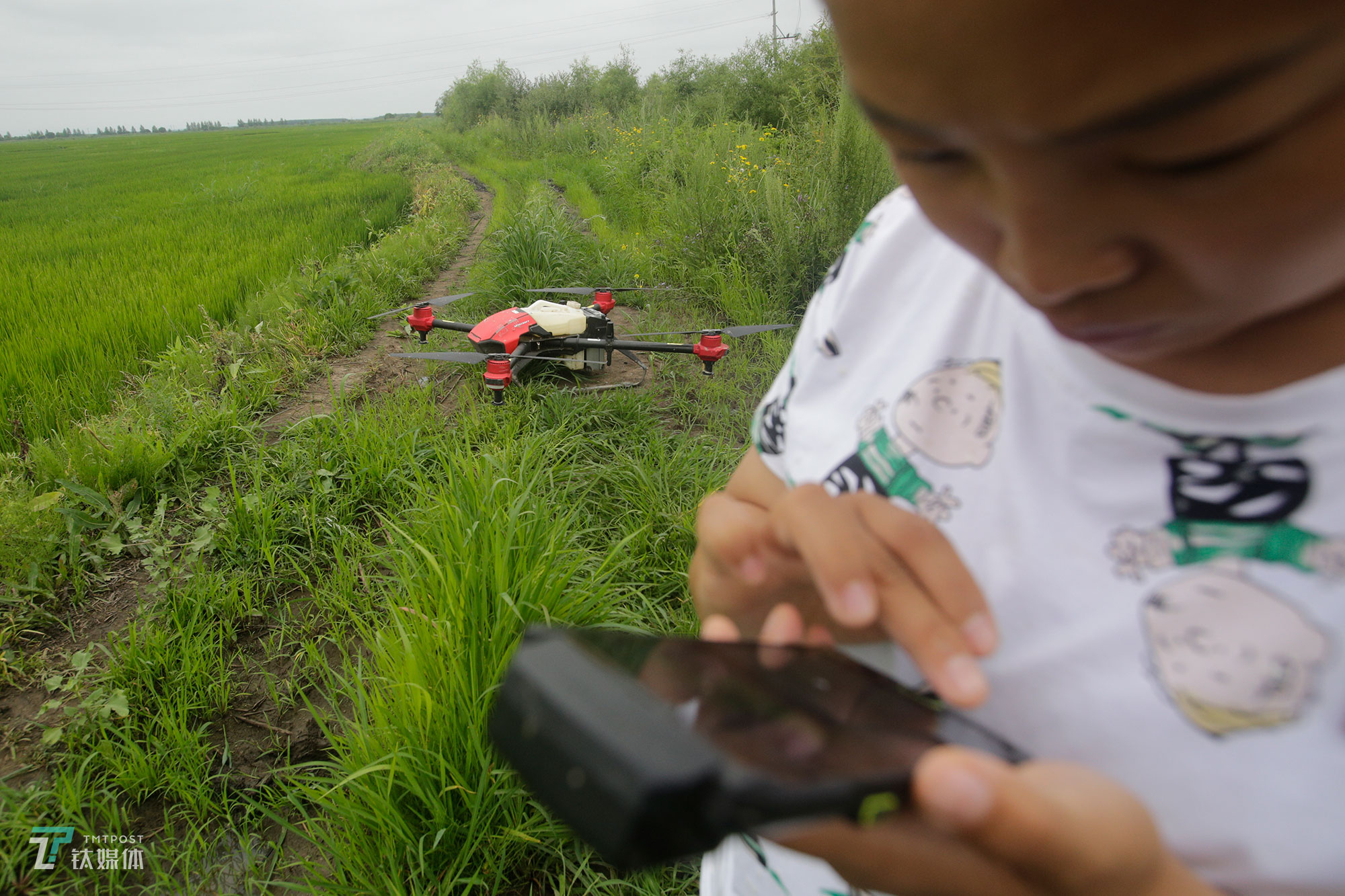 The new farmers with spraying drones in China's northeast farm land Beidahuang        