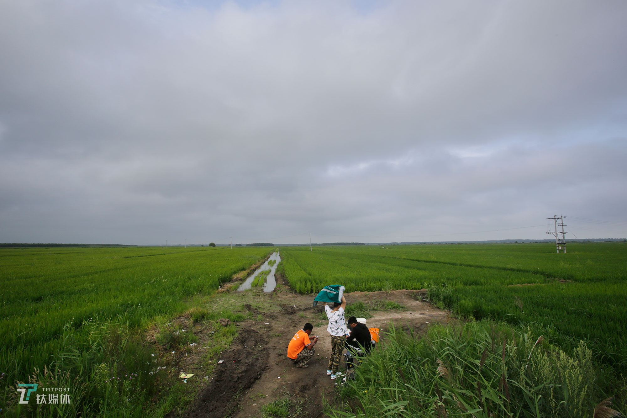 The new farmers with spraying drones in China's northeast farm land Beidahuang        