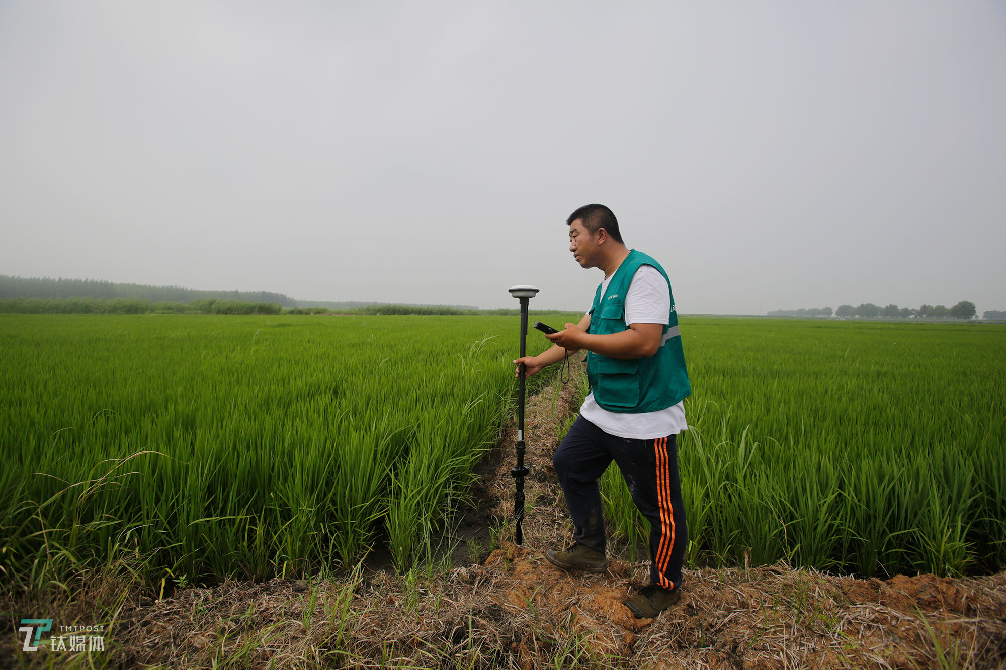 The new farmers with spraying drones in China's northeast farm land Beidahuang        