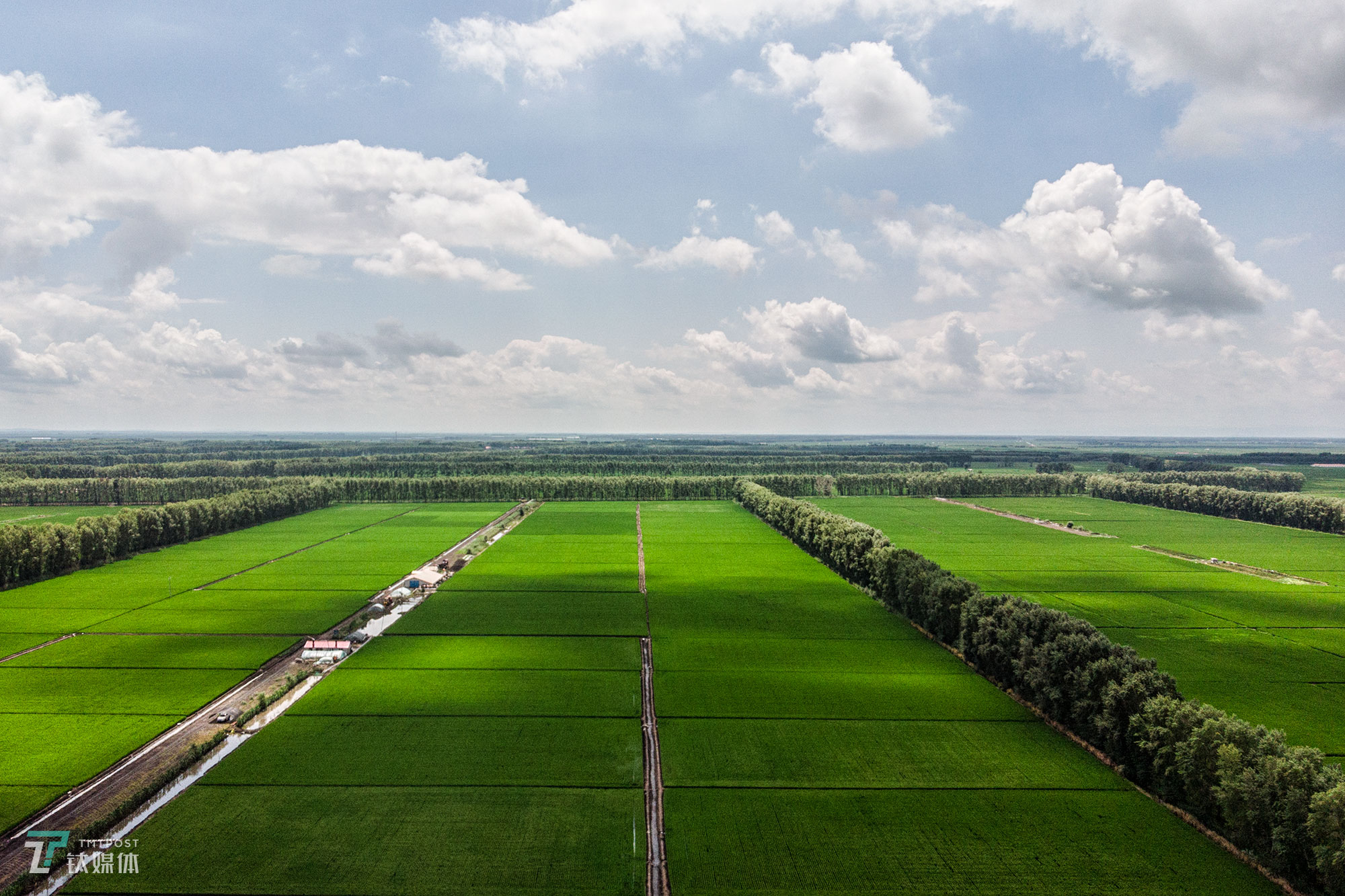 The new farmers with spraying drones in China's northeast farm land Beidahuang        