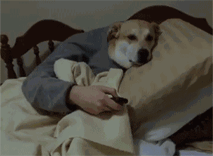 剁手节的套路你能玩明白么? 给我们单身