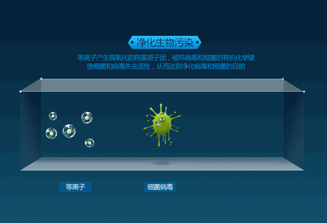 将甲醛,甲苯等污染物分解为二氧化碳和水.