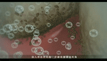 附着在牙齿上的脏污被清理,口腔健康了,牙齿自然白一度.