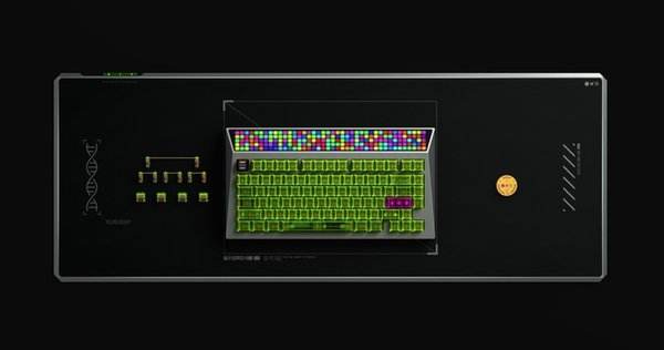 当罗永浩和李楠面对脱口秀