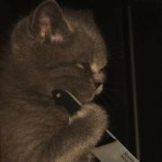 书剑飘零旧酒徒