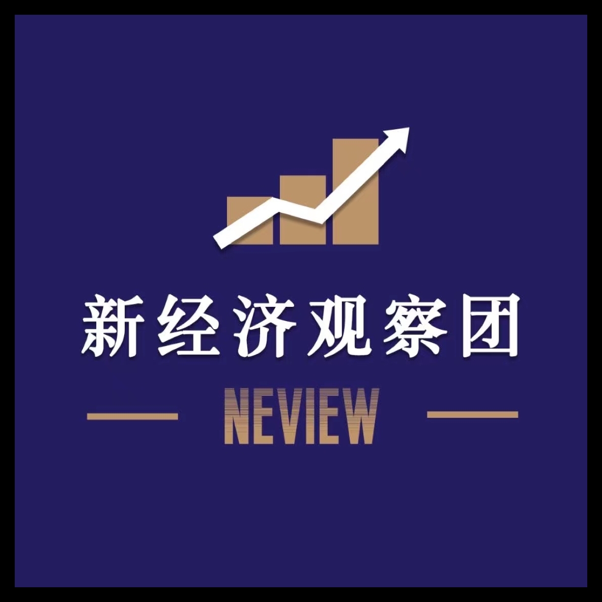 新经济观察团