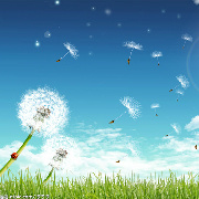 印在天空的足迹