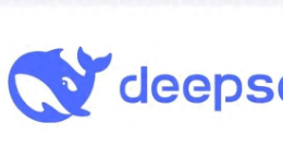 DeepSeek杀出一条血路：国产大模型突围不靠运气！