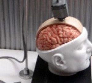 【1009晨报】虚拟人脑来了！！