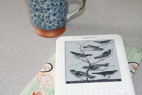 一位资深Kindler的思考：Kindle可免费，格式仍困扰