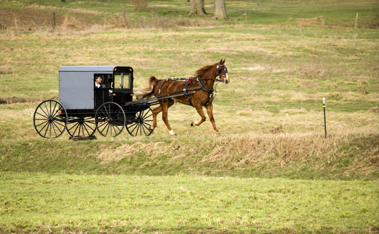 未来十年，属于传统行业
