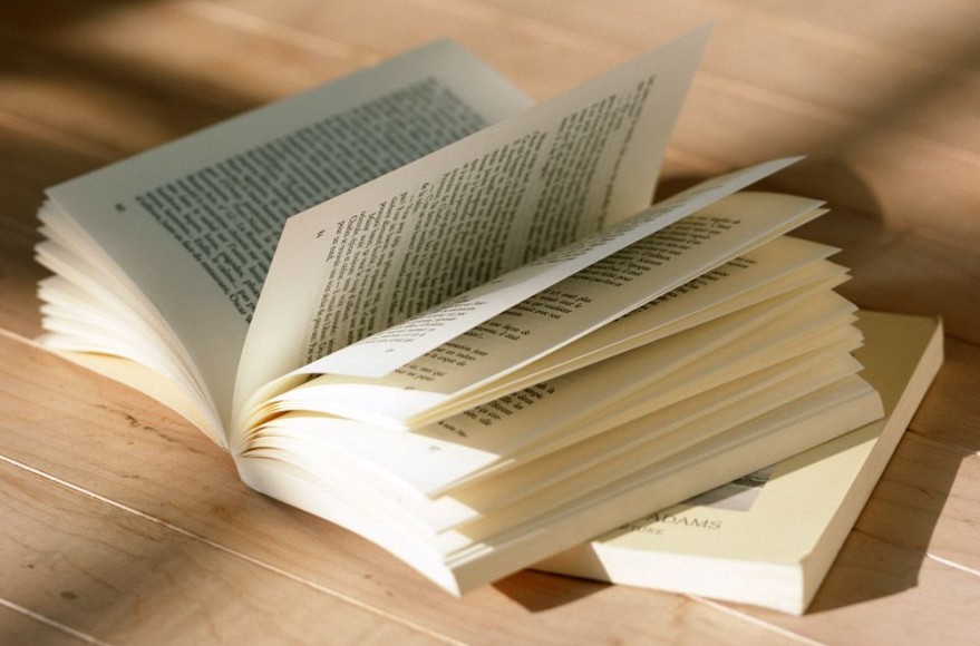 重新审视“大家”