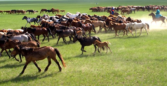 混链下的自媒体，商业前景像辽阔的草原