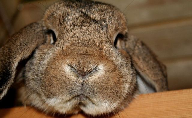 把复杂变简单，能产生颠覆的力量