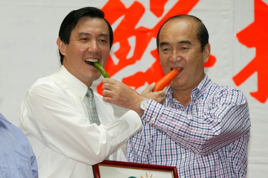 无以为继的台湾政府