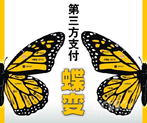 第三方支付的危与机