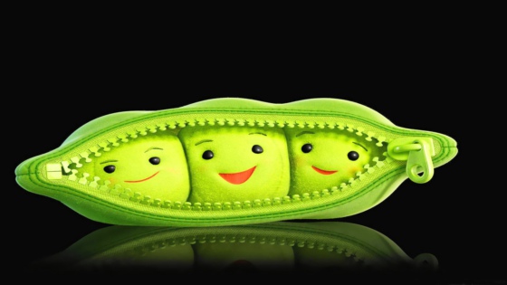 【观点】豌豆荚—文艺青年的世界我们不懂