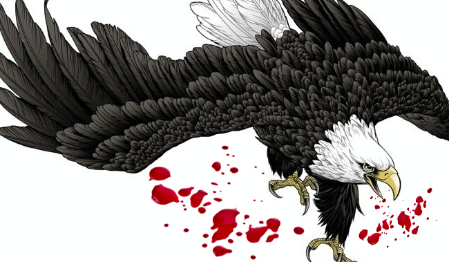 互联网盒子，折翼的老鹰