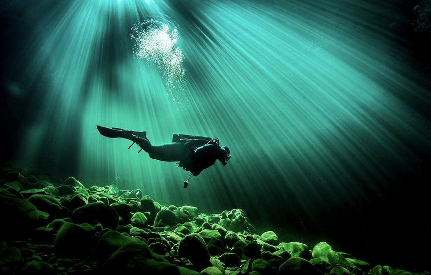 巨头们“割肉放血”的趋势与逻辑