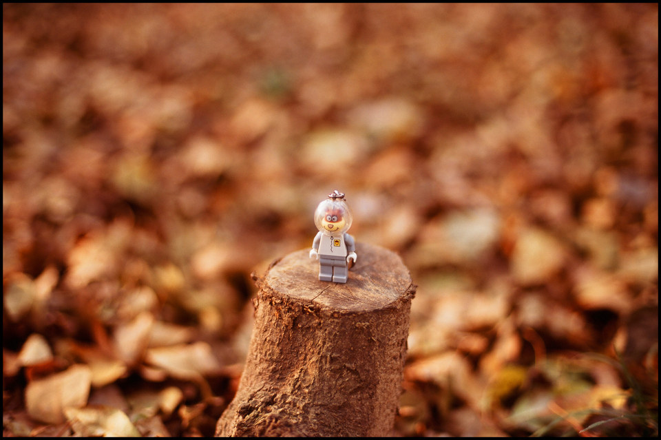 乐高风靡全球的秘密：集权、聚焦、社群