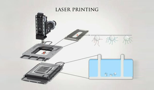 想长命百岁吗，来看看这些可以让人长寿的黑科技