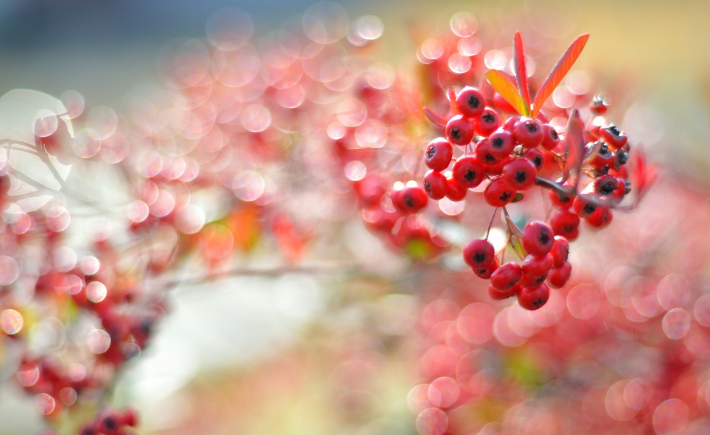 最新一周（11月17日—23日）钛度奖候选出炉！看看哪些作者获奖了？