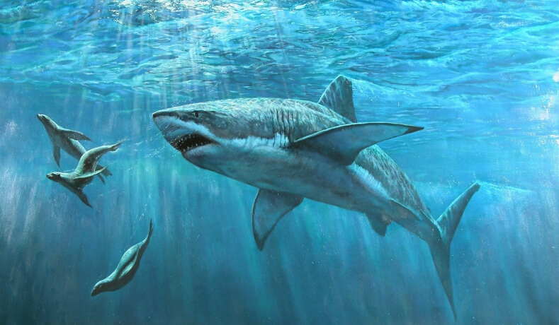 小米投资美的，互联网进入鲨鱼吃鲨鱼阶段