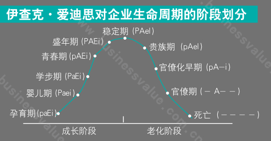 企业常青的维他命