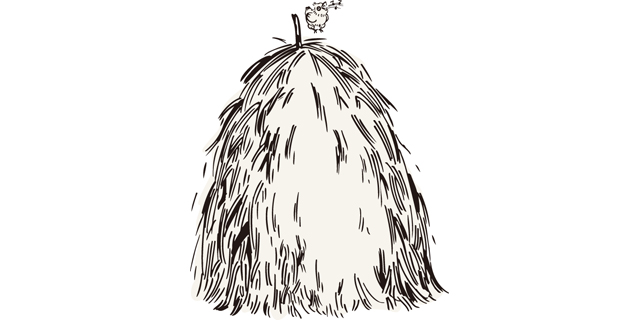 休闲农业：赢在价值链