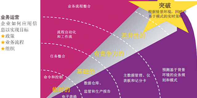 企业如何管理信息并从中学习